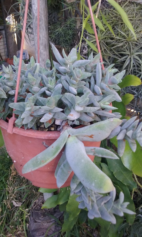 20180813_192347.jpg