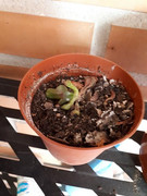 20180821_101514.jpg