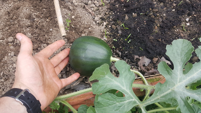 20180828_153701.jpg