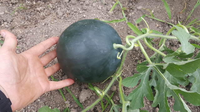 20180828_153706.jpg
