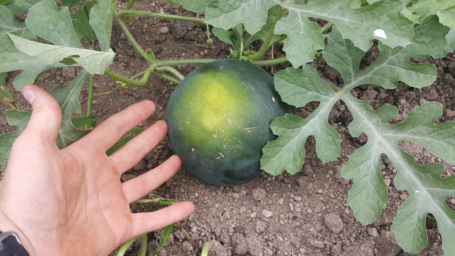 20180828_153710.jpg