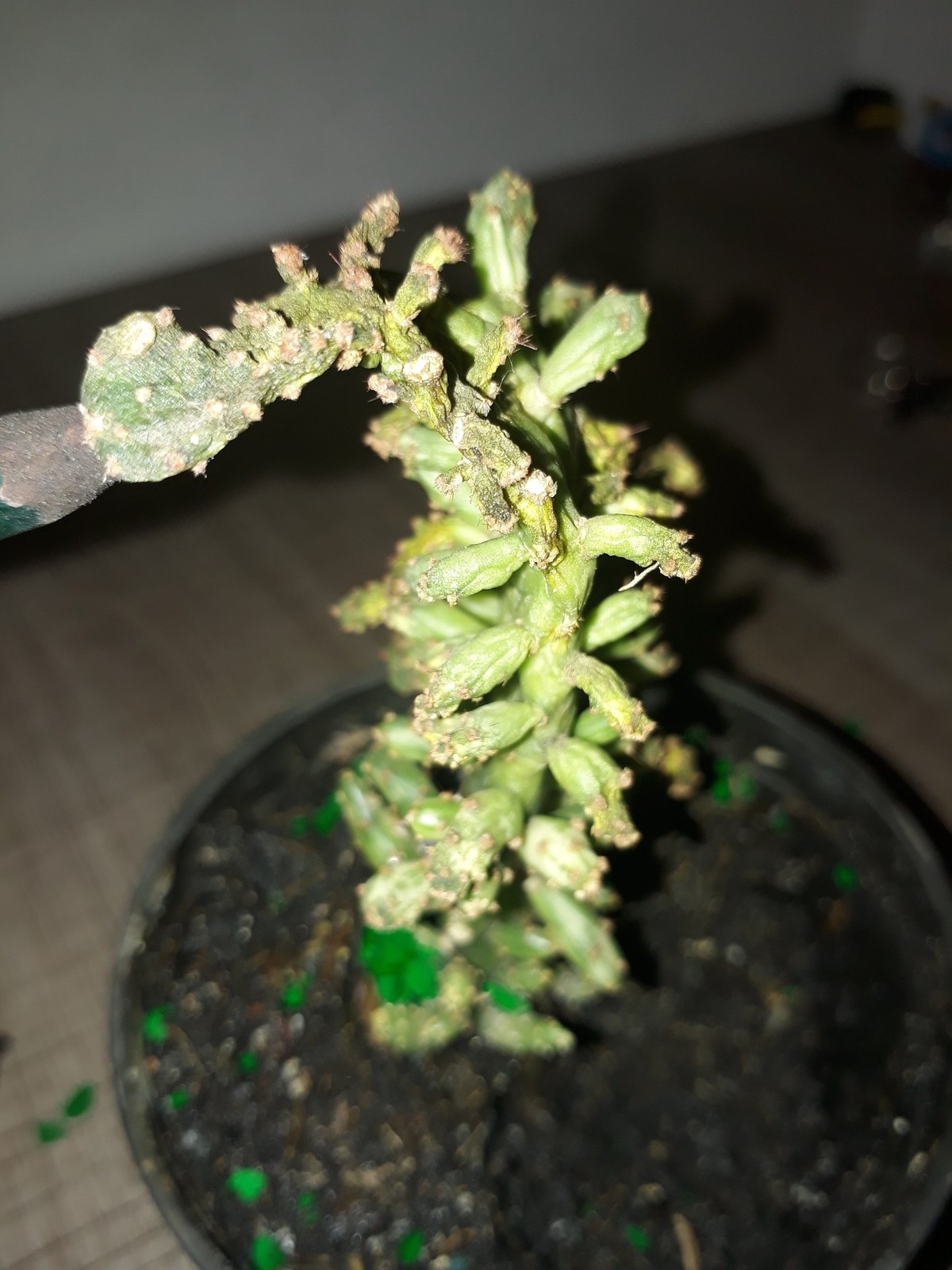 20180909_160249.jpg