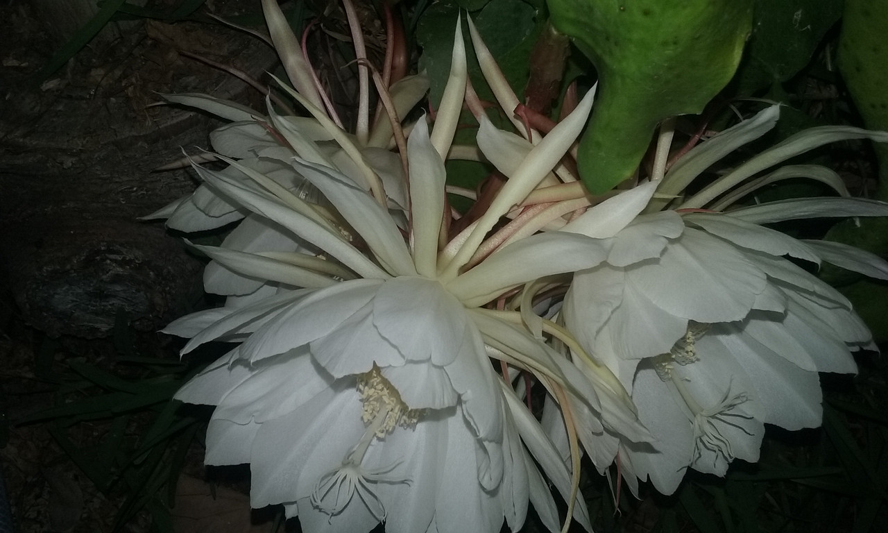 20180911_233922.jpg