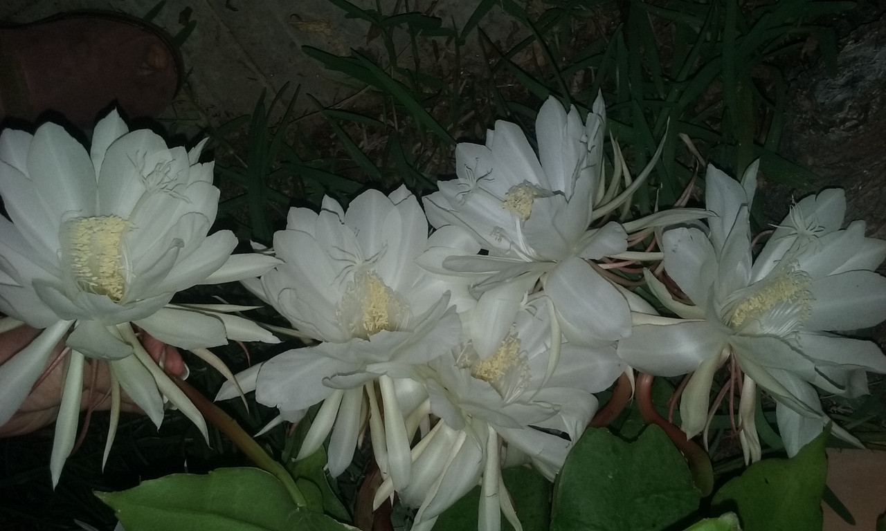 20180911_234317.jpg
