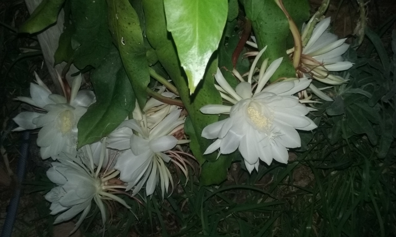 20180911_234334.jpg