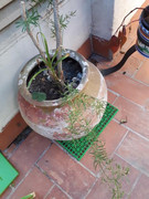 20180913_113644.jpg