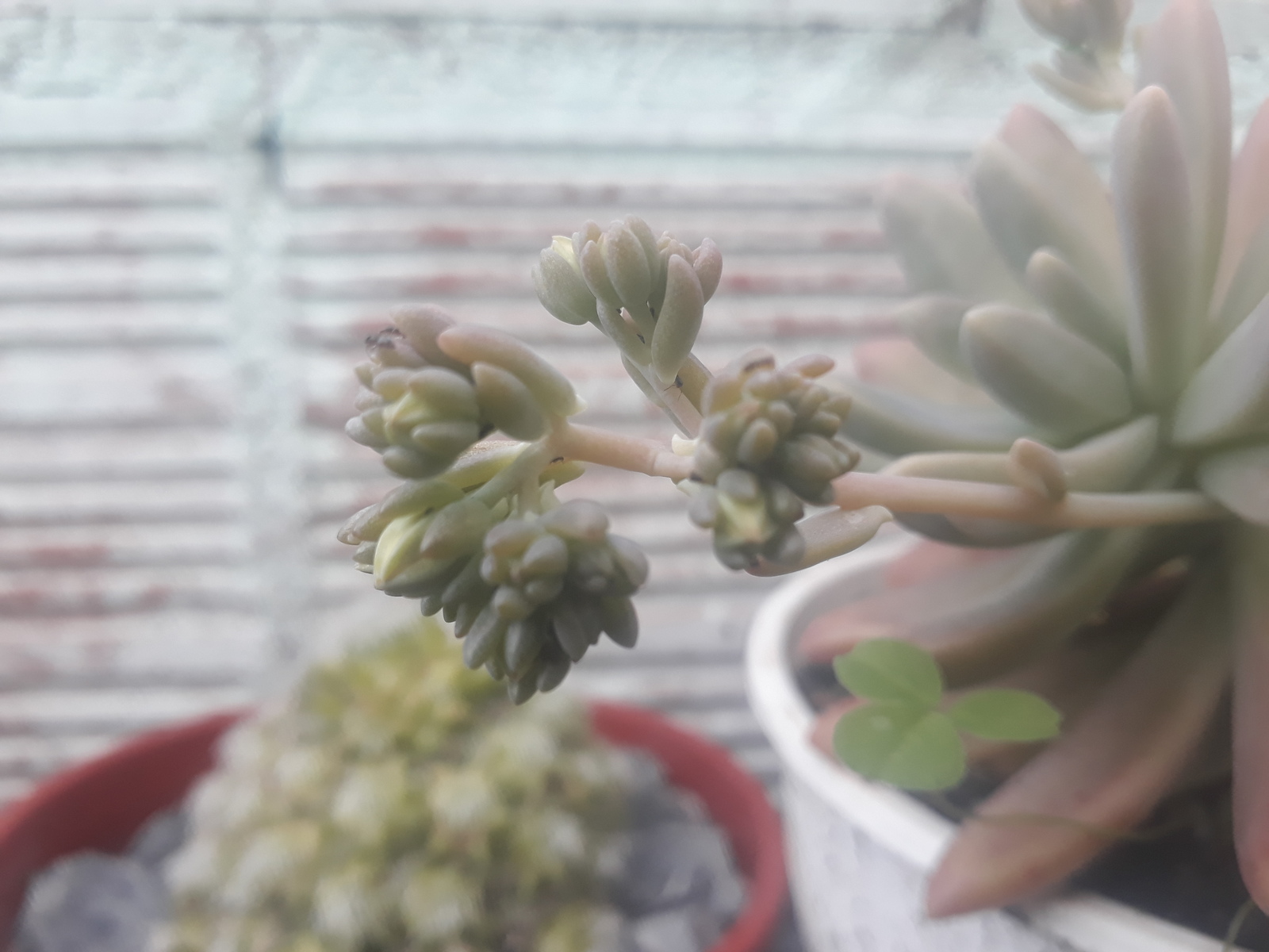 20180919_161532.jpg