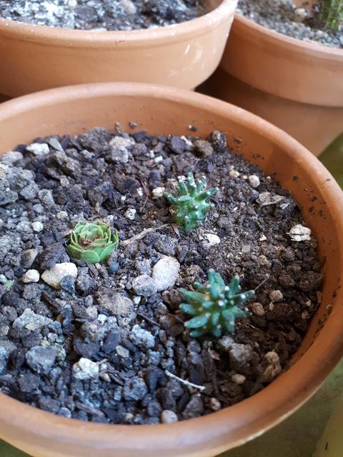 20180920_131031.jpg