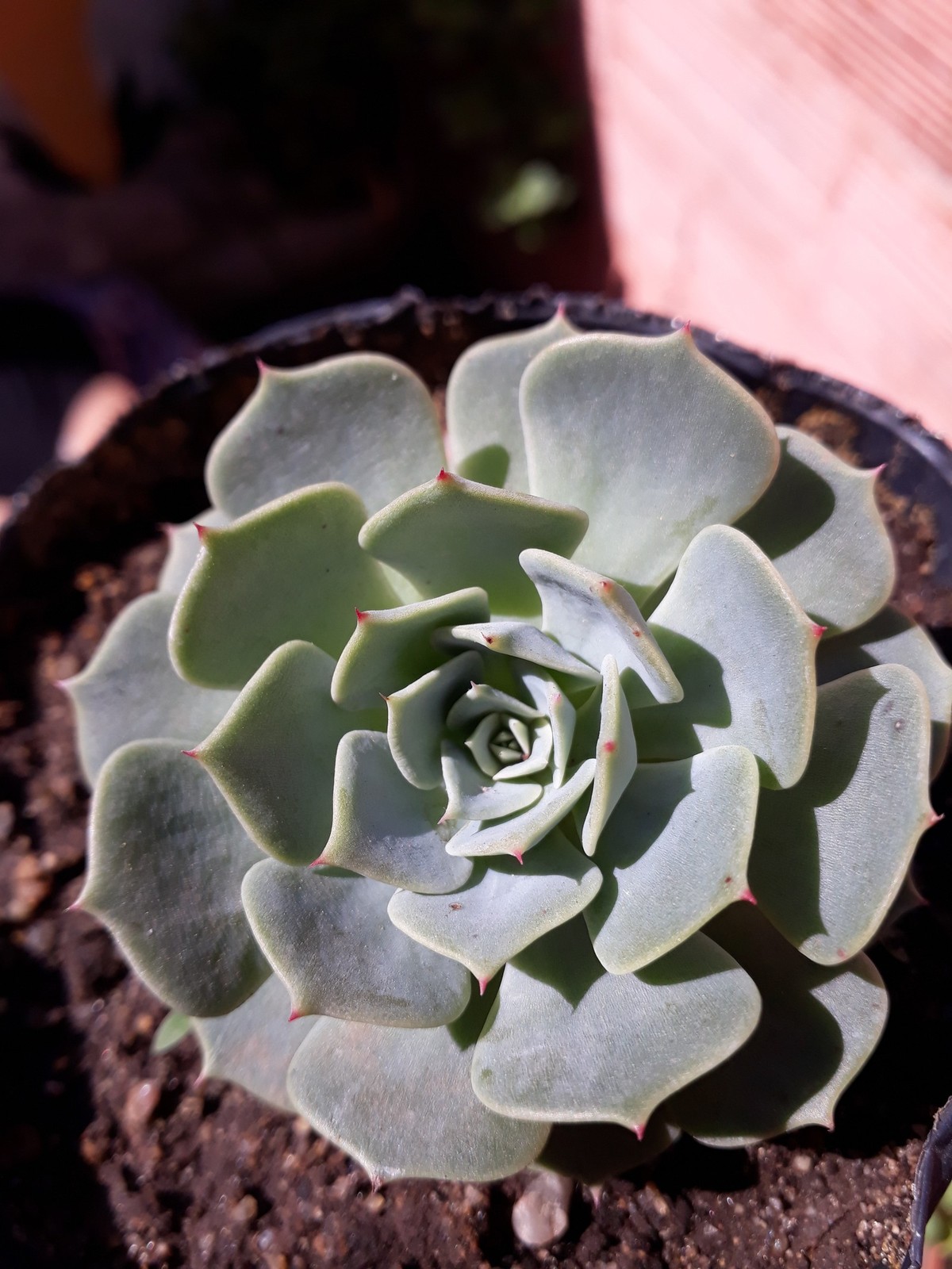 20180921_130650.jpg