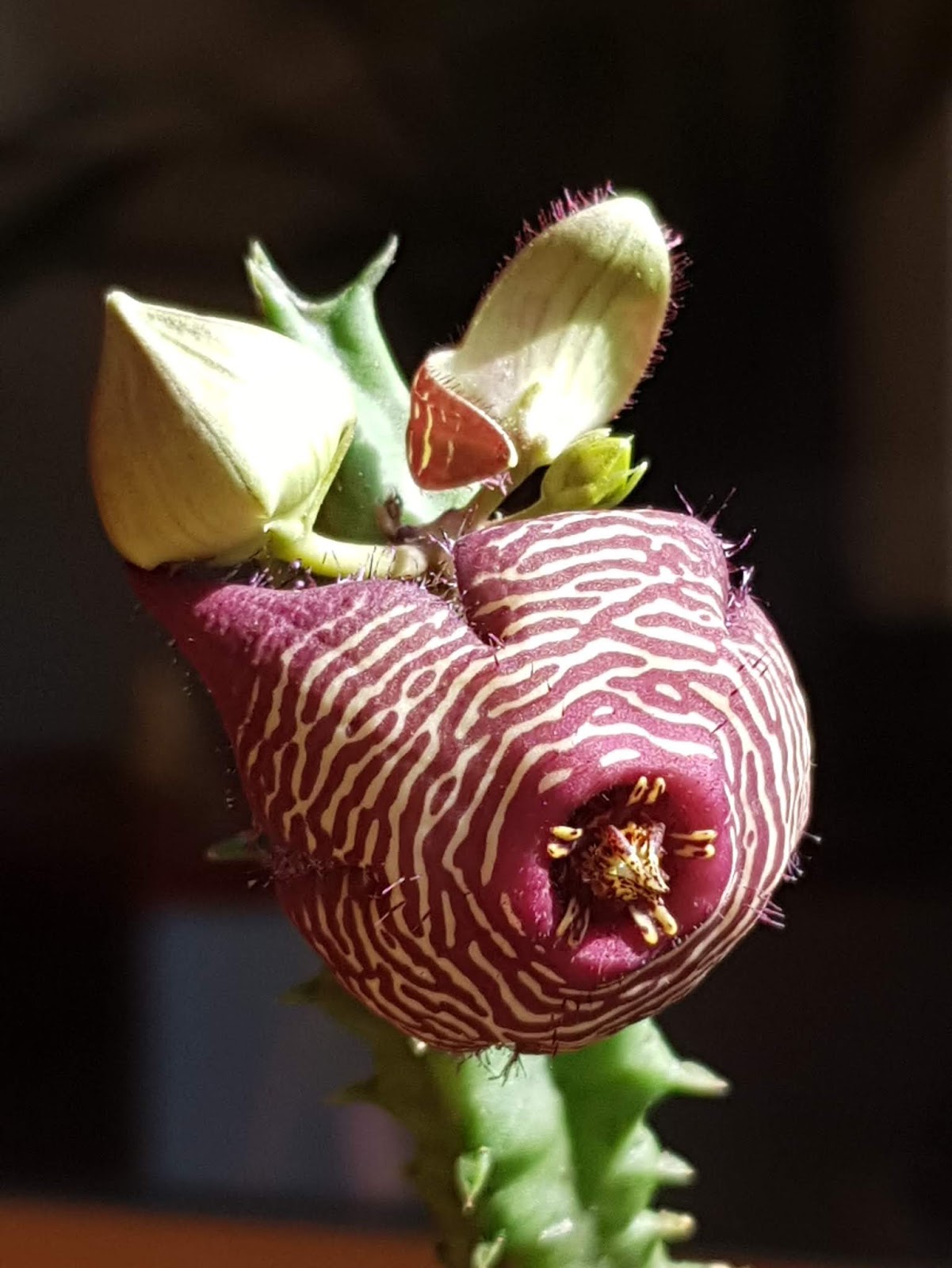 20180921_163928.jpg
