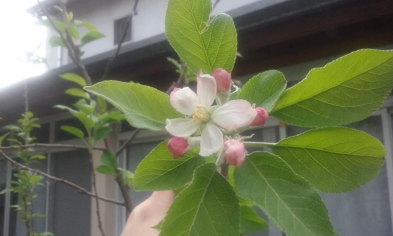 20180924_164445.jpg