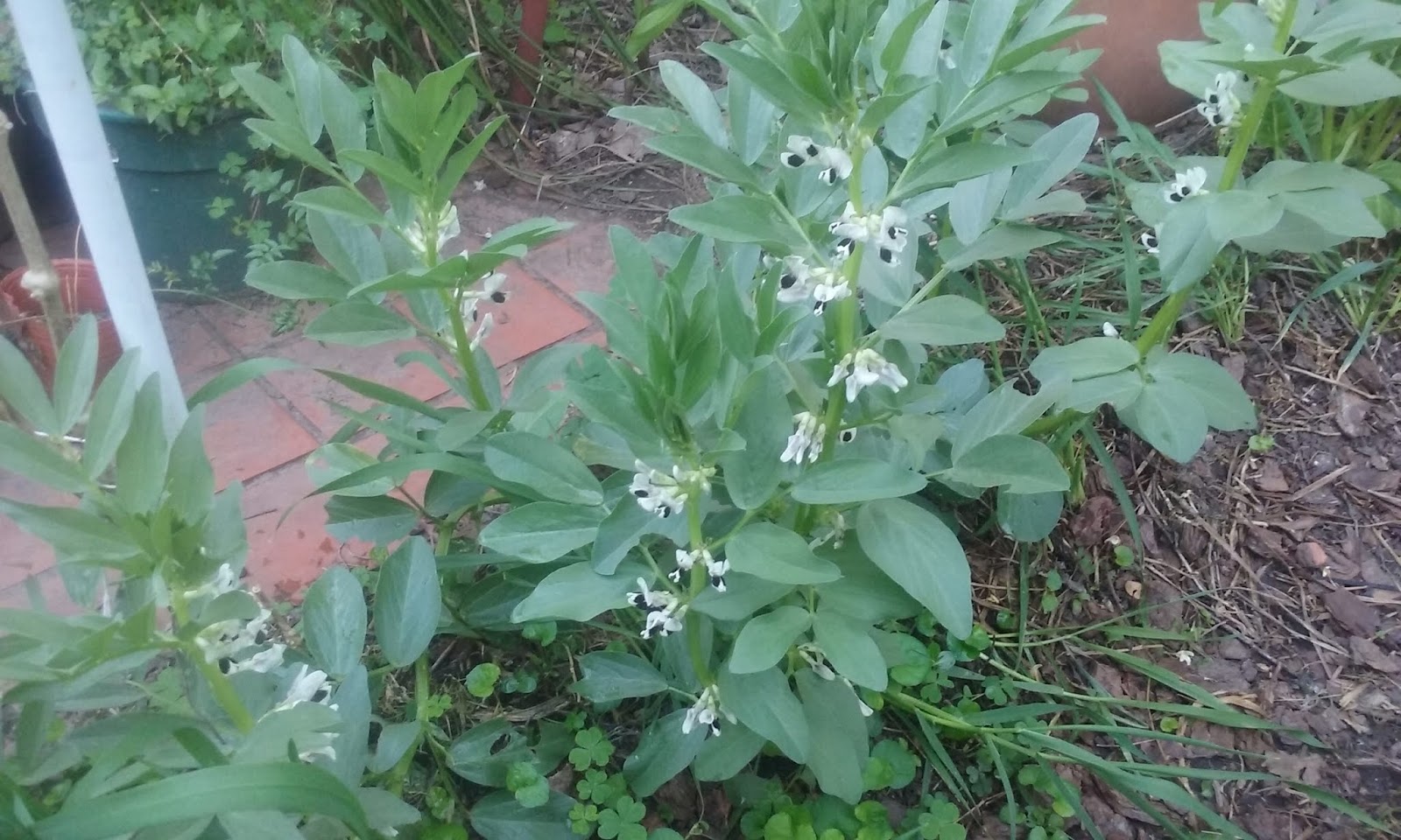20180924_181525.jpg