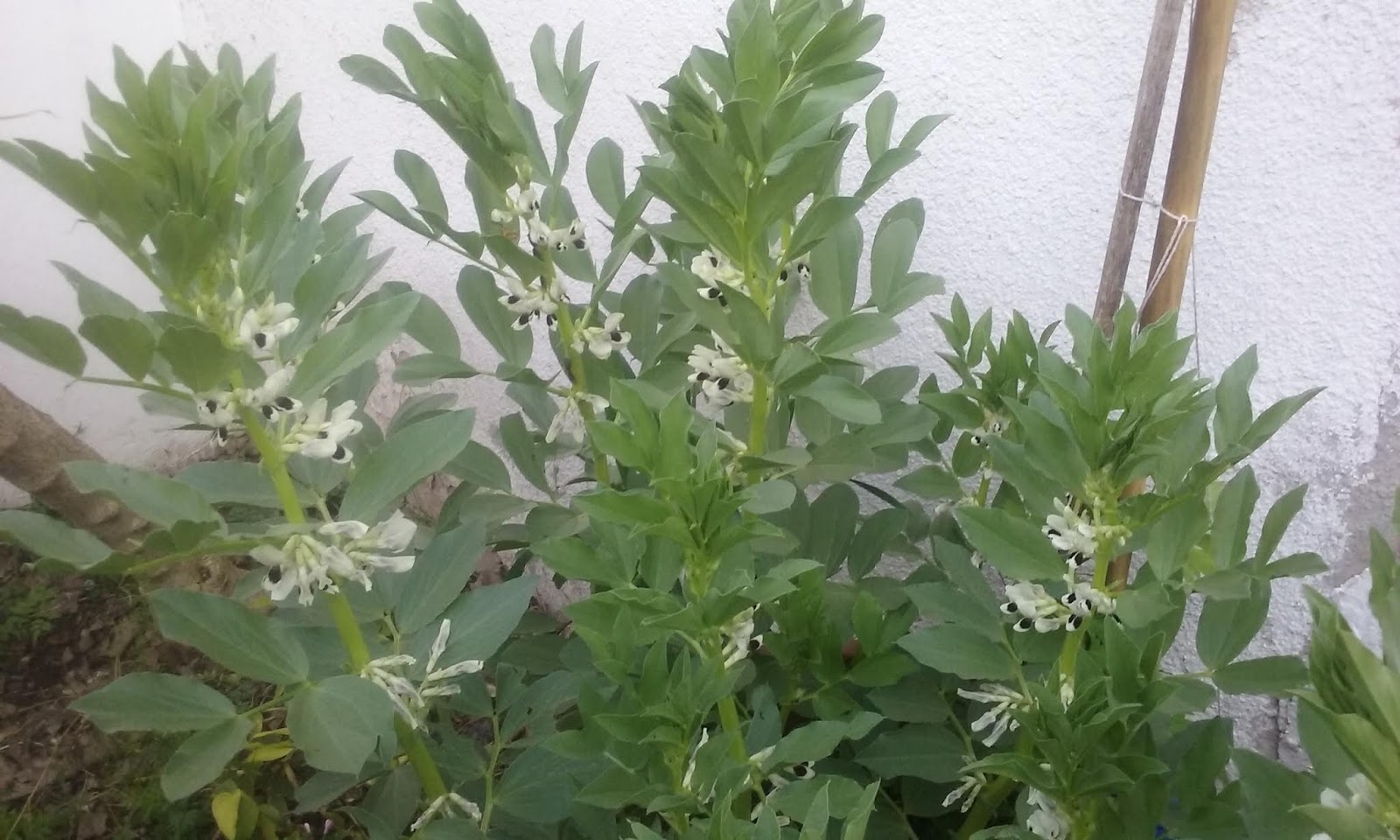 20180924_181606.jpg
