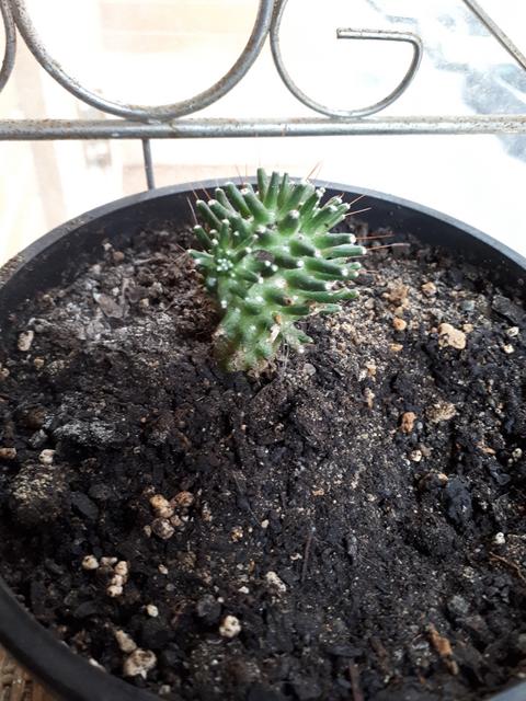 20180925_122941.jpg