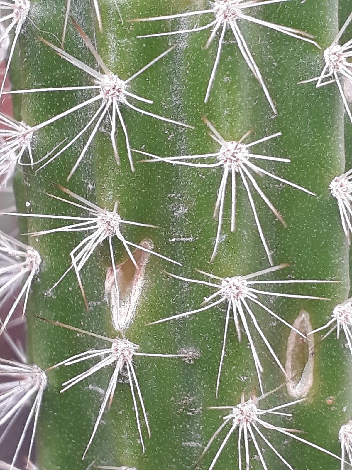20180926_130731.jpg