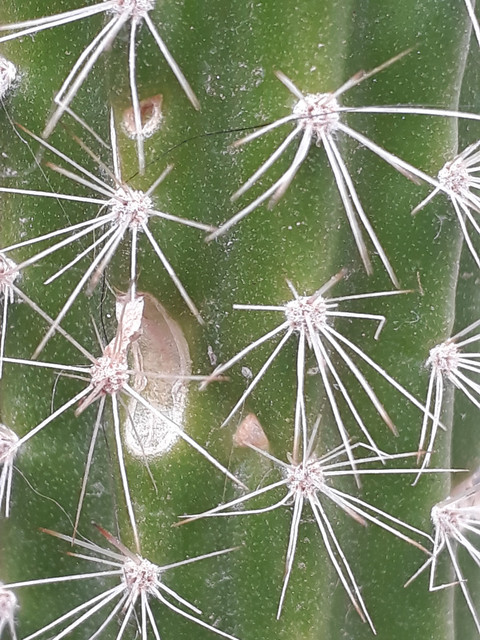 20180926_130739.jpg