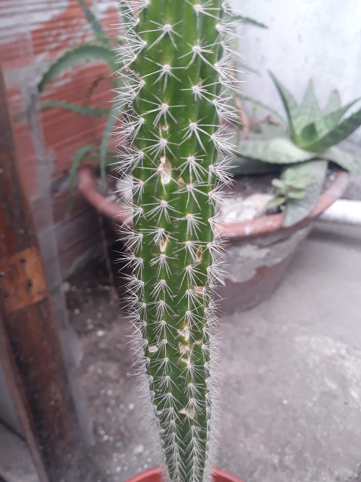 20180926_130751.jpg