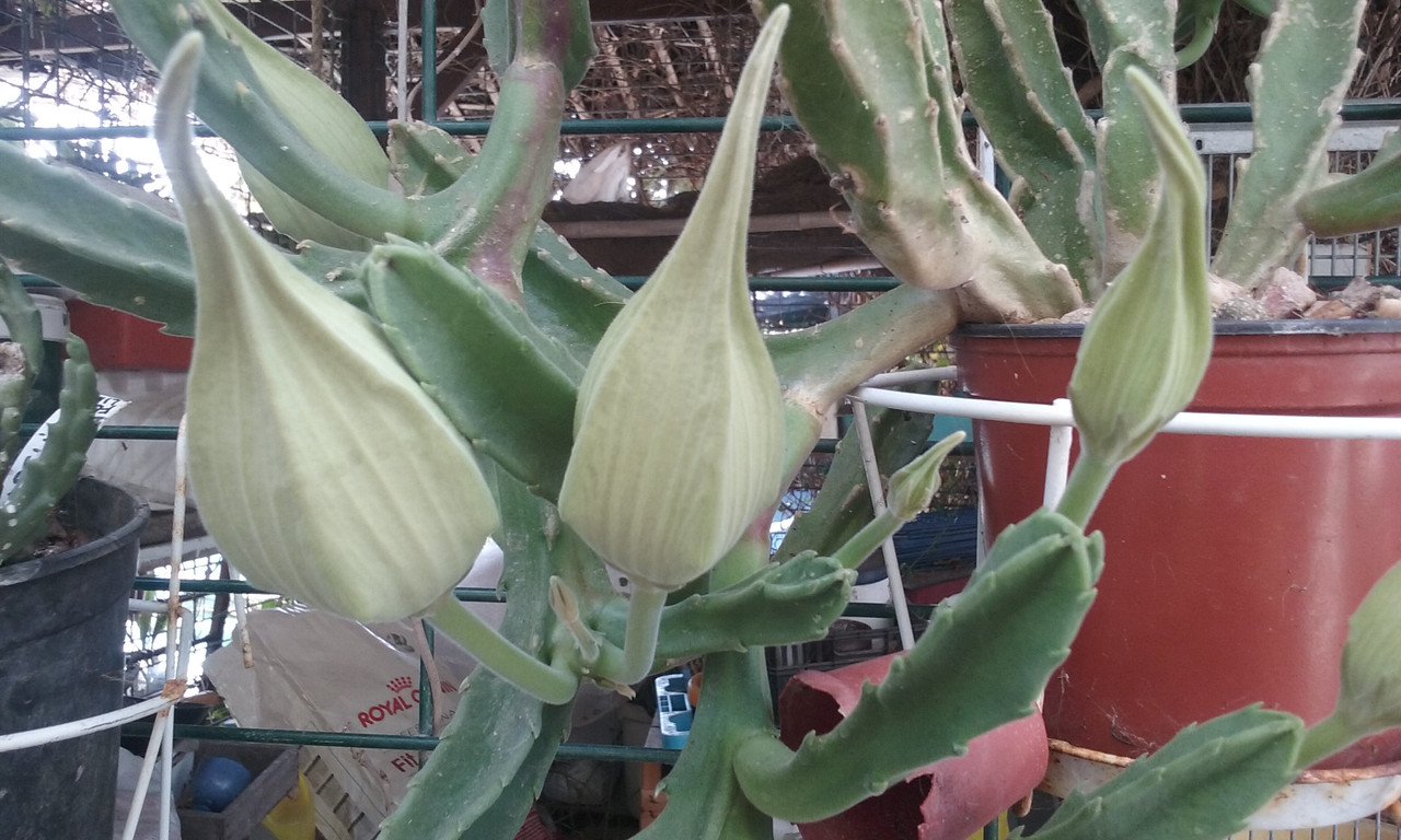 20181001_130022.jpg