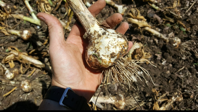 20181009_210031.jpg