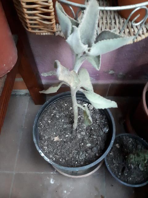 20181107-173343.jpg