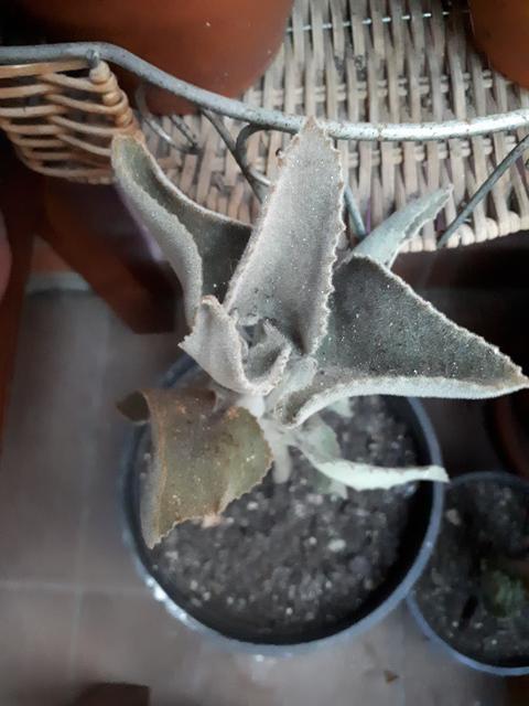 20181107-173348.jpg