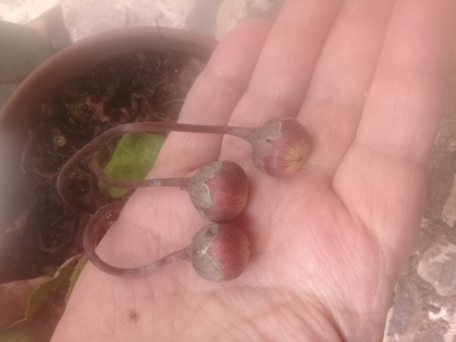 20181124-132924.jpg