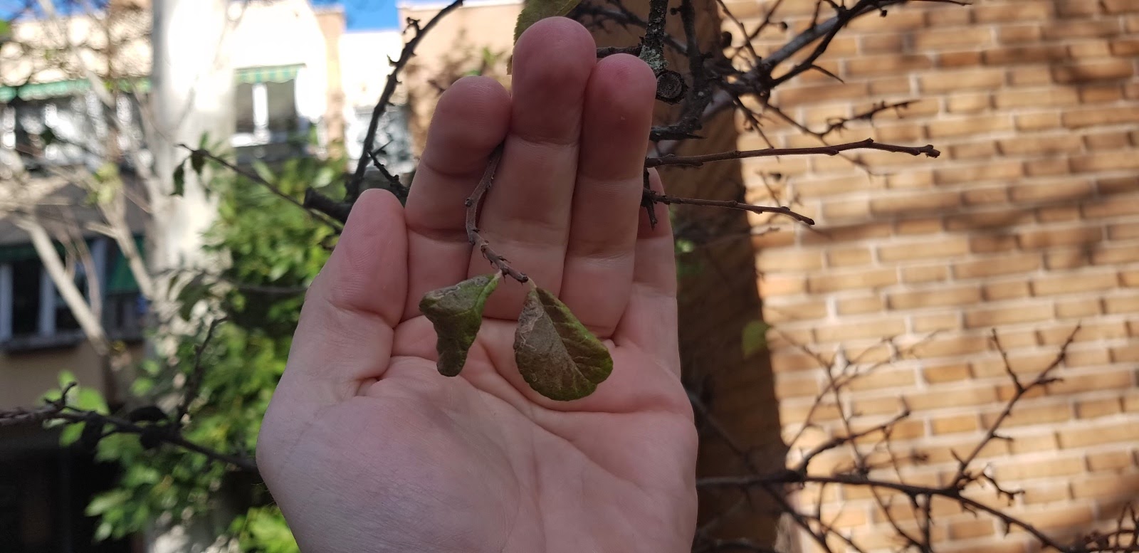 20181126_153657.jpg
