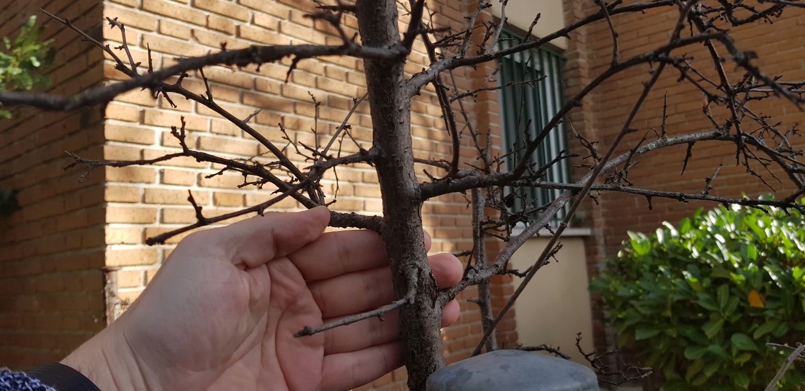 20181126_153709.jpg