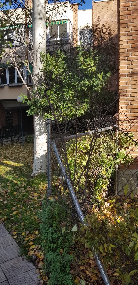 20181126_153725.jpg