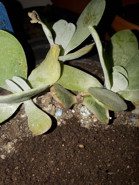 20181203-205722.jpg