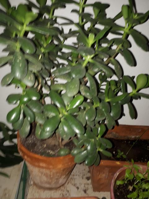 20181203-205749.jpg