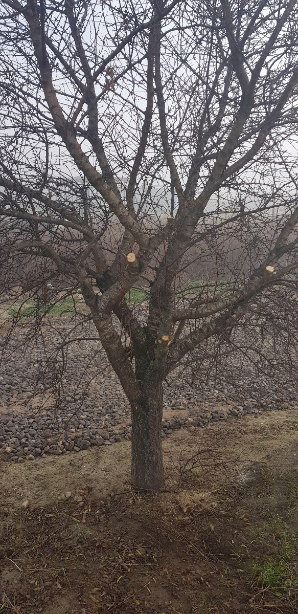20181208_092032.jpg