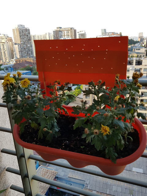 20181219-200131.jpg
