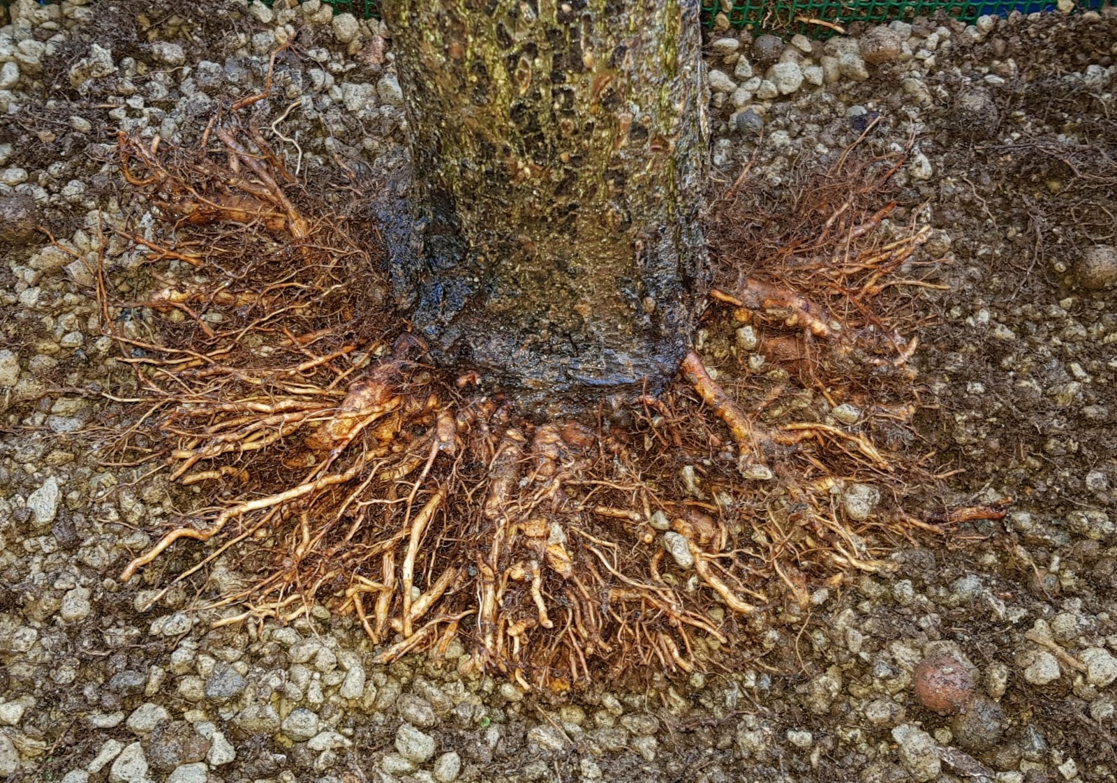 20190103_151428.jpg
