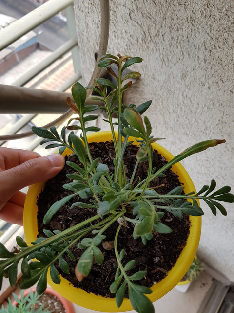 20190120-121950.jpg