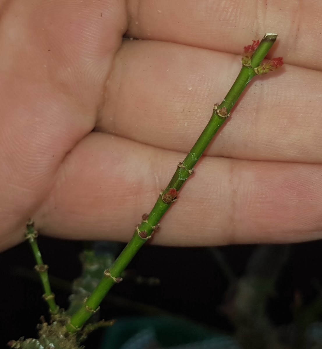 20190217_185329.jpg