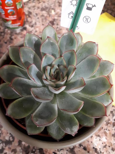 20190221-224545.jpg