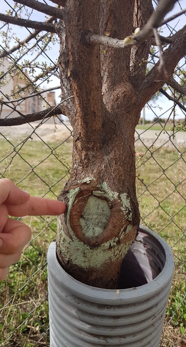 20190304_163114.jpg