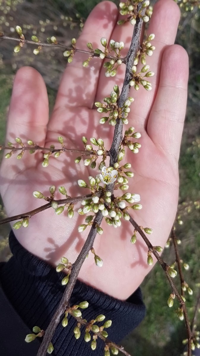 20190304_163152.jpg
