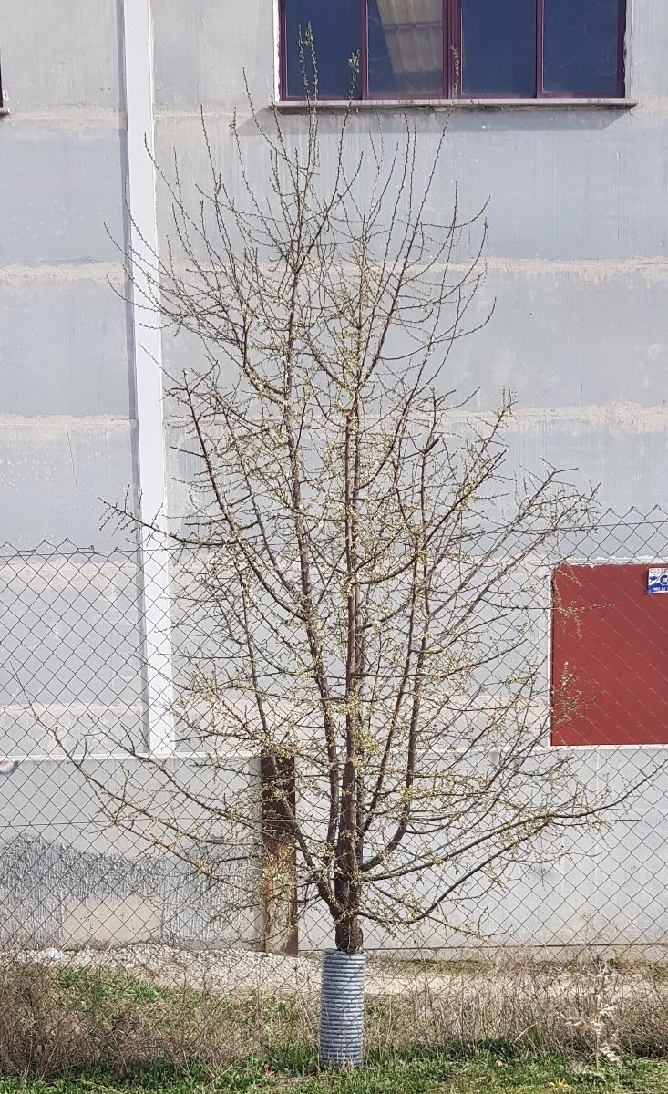 20190304_163248.jpg