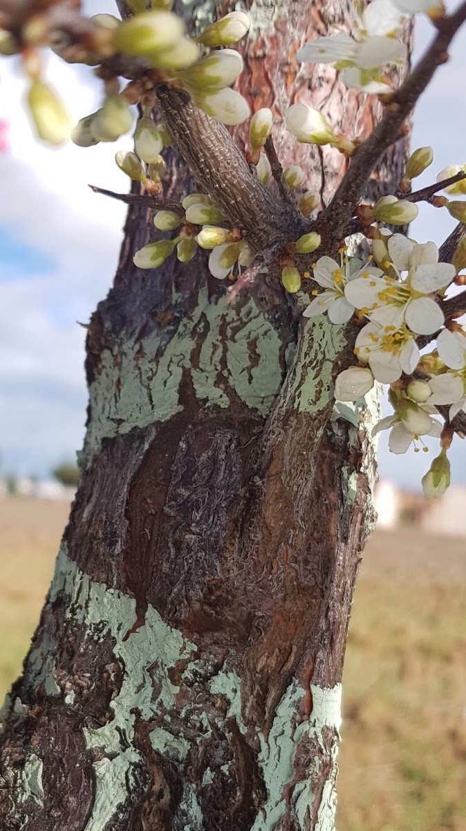 20190306_175350.jpg