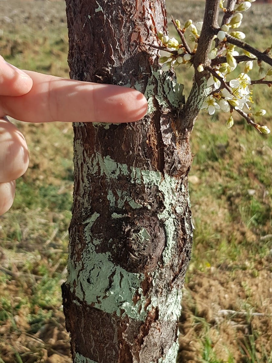 20190306_175643.jpg