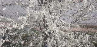 20190311_160913.jpg