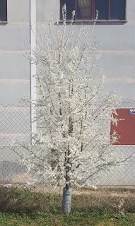 20190311_164447.jpg