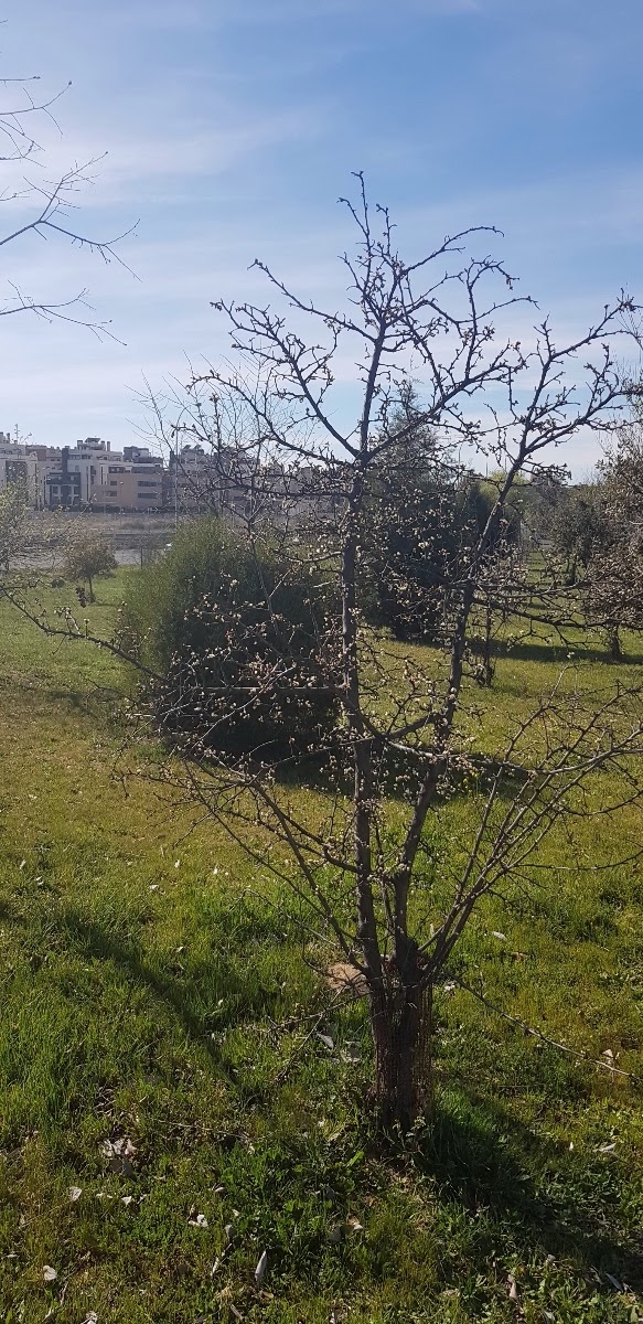20190312_154918.jpg