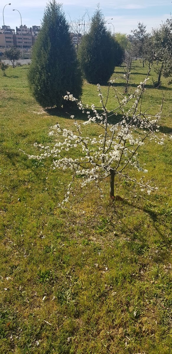 20190312_154958.jpg