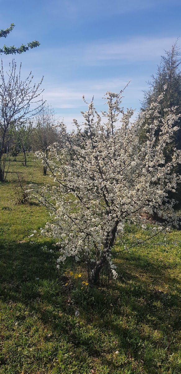 20190312_155026.jpg
