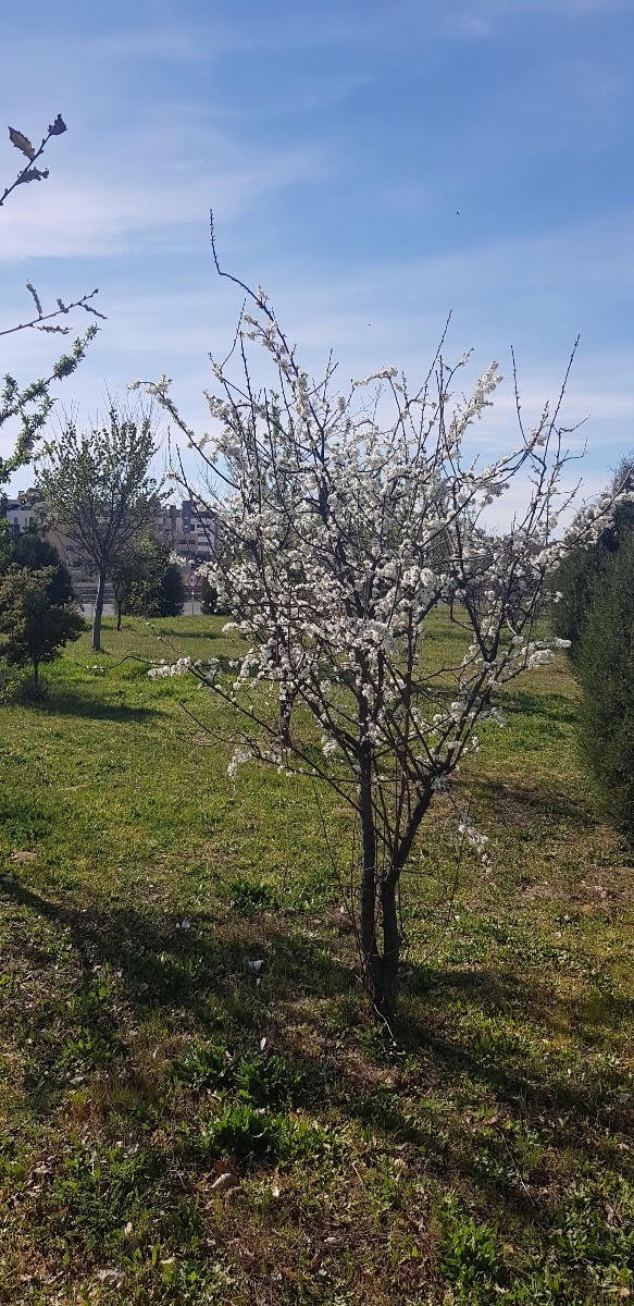 20190312_155124.jpg