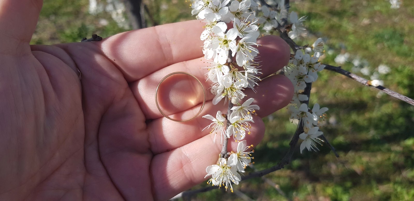 20190312_155142.jpg