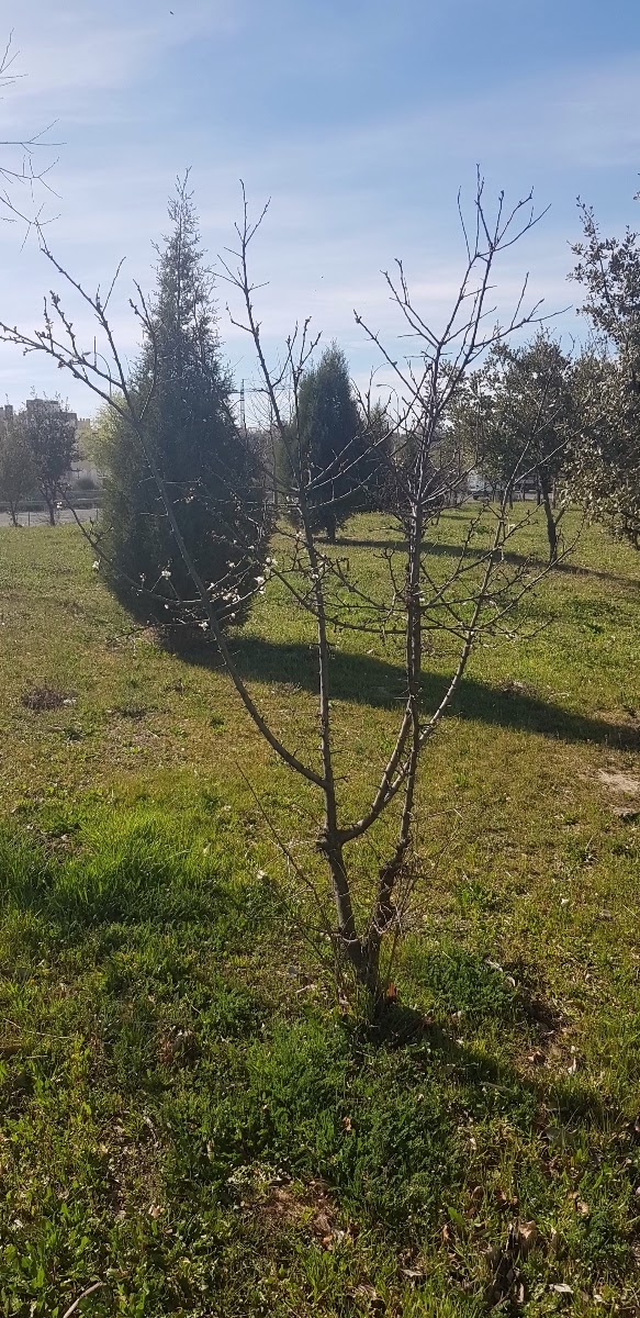 20190312_155219.jpg